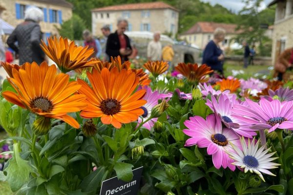 1200x680_sc_img-4815