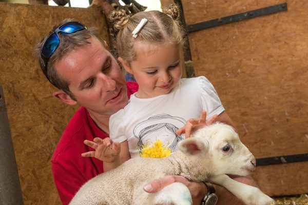 Hautes-Alpes (05), Parc national des Ecrins, Vallée du Champsaur, Saint-Michel de Chaillol, Gaec du Caîre, ferme de Chaillolet, Ferme pédagogique Marque Esprit Parc national // Hautes-Alpes (05), Ecrins National Park, Champsaur Valley, Saint-Michel de Chaillol, Gaec du Caîre, Chaillolet farm, educational farm  Marque Esprit National Park