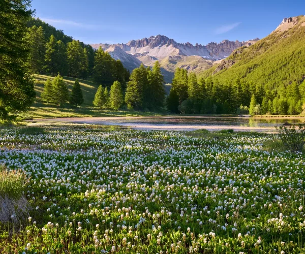 586d92cf444bae25d5a9d8065b183fec-alpesqueyrasarvieuxhautes-alpesshutterstock_1947641686-208