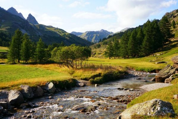 DSC09306-001-800x534