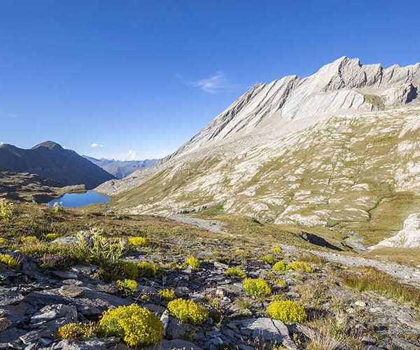 GR58-parc-naturel-regional-Queyras-lac-foréant-credit-CAVALIER-Michel-HEMIS_2429342