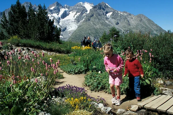Jardin-Alpin-du-Lautaret