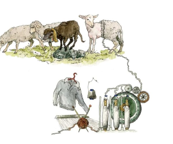 WhatsApp-Image-2021-09-23-at-18.27.54