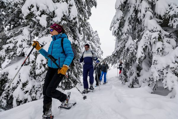 balade-raquettes-accompagnateurs-ariege-pyrenees