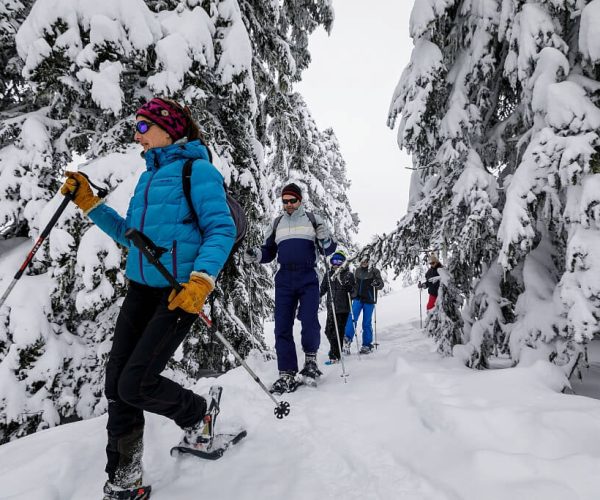 balade-raquettes-accompagnateurs-ariege-pyrenees