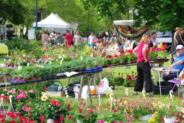 Les visiteurs pourront flaner et choisir les fleurs a mettre dans leur jardin Photo Karine Poullain