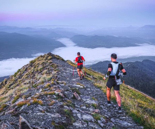trail_participants_montagnes_Alpes