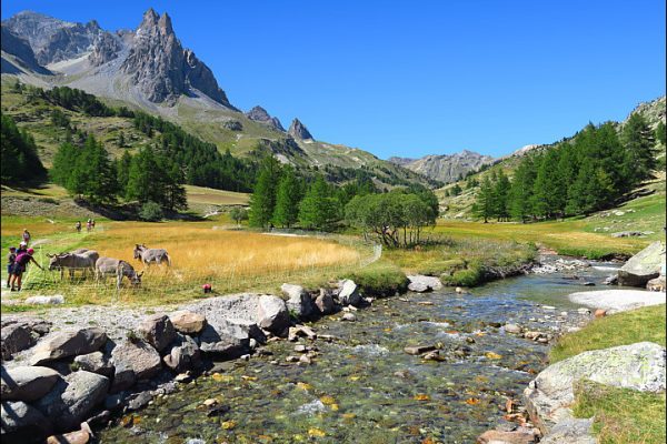 Vallée de la Clarée