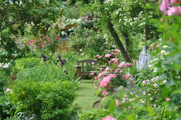 vue-du-jardin-credit-photo-association-les-amis-dandre-eve-scaled